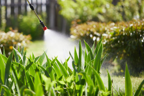 24/7 Emergency Wasp Removal experts in Jasper, IN