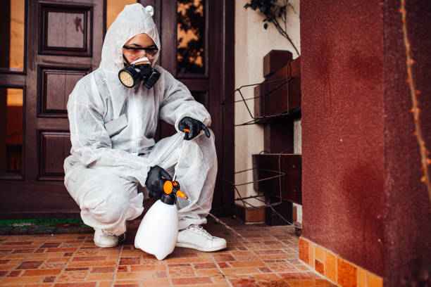 Reliable Wasp Removal contractor in Jasper, IN by Show Me Pest Control